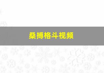 桑搏格斗视频