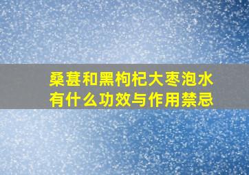 桑葚和黑枸杞大枣泡水有什么功效与作用禁忌