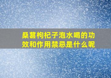 桑葚枸杞子泡水喝的功效和作用禁忌是什么呢