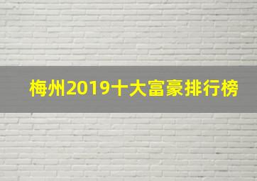 梅州2019十大富豪排行榜