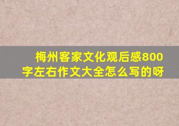 梅州客家文化观后感800字左右作文大全怎么写的呀