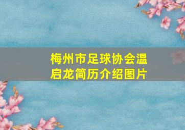 梅州市足球协会温启龙简历介绍图片