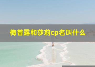 梅普露和莎莉cp名叫什么