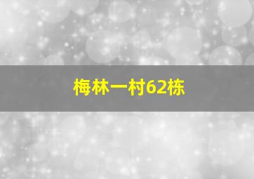 梅林一村62栋