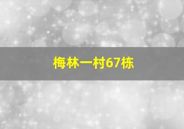 梅林一村67栋