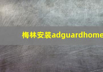 梅林安装adguardhome