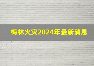 梅林火灾2024年最新消息