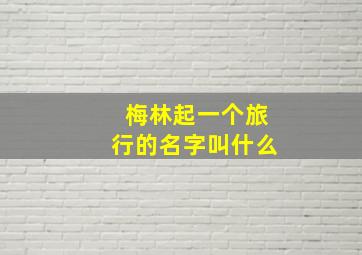 梅林起一个旅行的名字叫什么