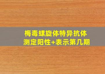 梅毒螺旋体特异抗体测定阳性+表示第几期