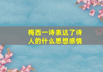 梅西一诗表达了诗人的什么思想感情