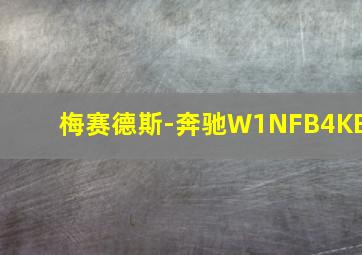 梅赛德斯-奔驰W1NFB4KB