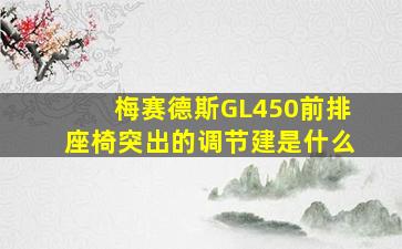 梅赛德斯GL450前排座椅突出的调节建是什么