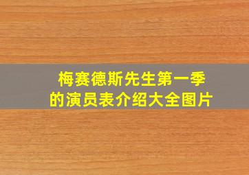 梅赛德斯先生第一季的演员表介绍大全图片