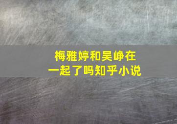 梅雅婷和吴峥在一起了吗知乎小说