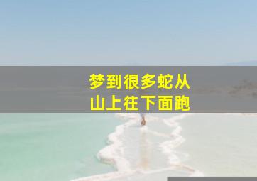 梦到很多蛇从山上往下面跑