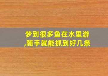 梦到很多鱼在水里游,随手就能抓到好几条