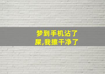 梦到手机沾了屎,我擦干净了