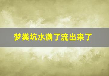 梦粪坑水满了流出来了