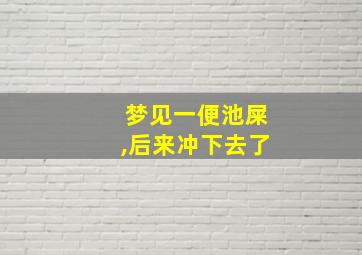 梦见一便池屎,后来冲下去了