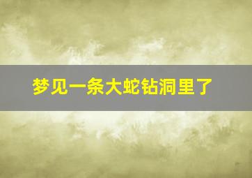 梦见一条大蛇钻洞里了