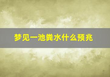 梦见一池粪水什么预兆