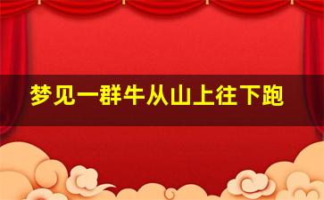 梦见一群牛从山上往下跑