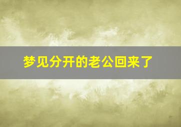 梦见分开的老公回来了