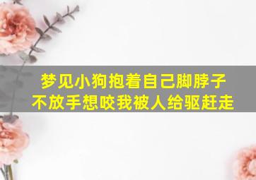 梦见小狗抱着自己脚脖子不放手想咬我被人给驱赶走