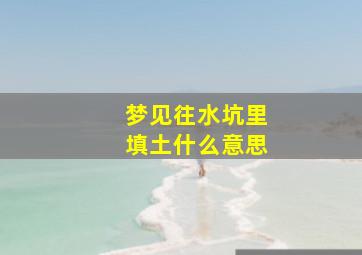 梦见往水坑里填土什么意思