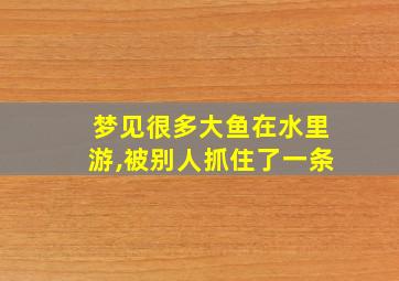 梦见很多大鱼在水里游,被别人抓住了一条