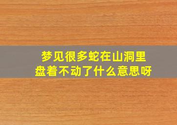 梦见很多蛇在山洞里盘着不动了什么意思呀