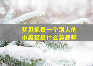 梦见抱着一个别人的小男孩是什么意思啊