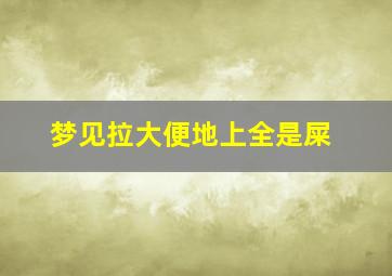 梦见拉大便地上全是屎