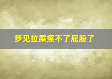 梦见拉屎擦不了屁股了