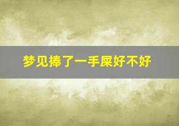 梦见捧了一手屎好不好