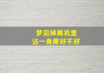 梦见掉粪坑里沾一身屎好不好