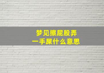 梦见擦屁股弄一手屎什么意思