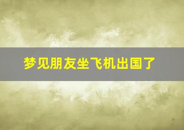 梦见朋友坐飞机出国了