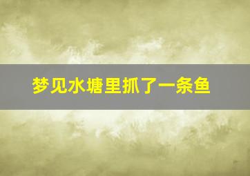 梦见水塘里抓了一条鱼