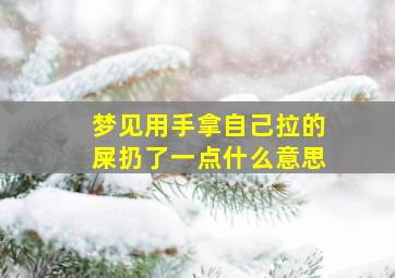 梦见用手拿自己拉的屎扔了一点什么意思