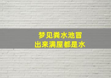 梦见粪水池冒出来满屋都是水