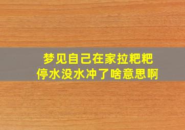 梦见自己在家拉粑粑停水没水冲了啥意思啊