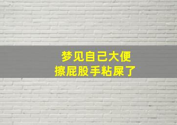 梦见自己大便擦屁股手粘屎了