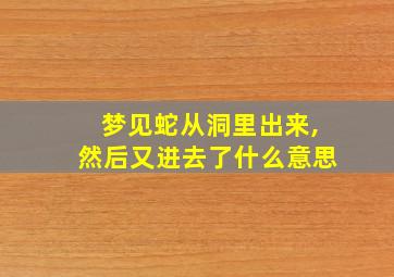 梦见蛇从洞里出来,然后又进去了什么意思