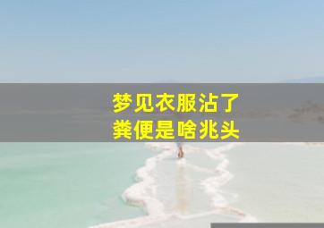 梦见衣服沾了粪便是啥兆头