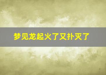 梦见龙起火了又扑灭了