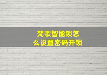 梵歌智能锁怎么设置密码开锁