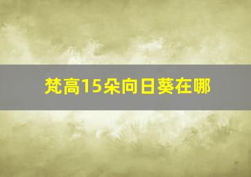 梵高15朵向日葵在哪