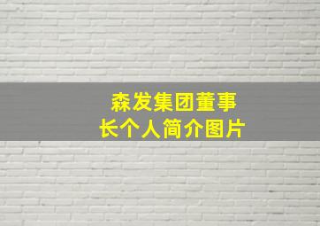 森发集团董事长个人简介图片