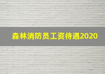 森林消防员工资待遇2020